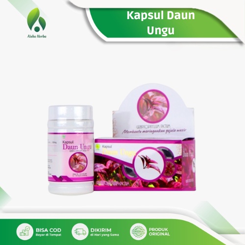 Jual Obat Ambeien Paling Ampuh Kapsul Herbal Daun Ungu Mengatasi Gejala ...