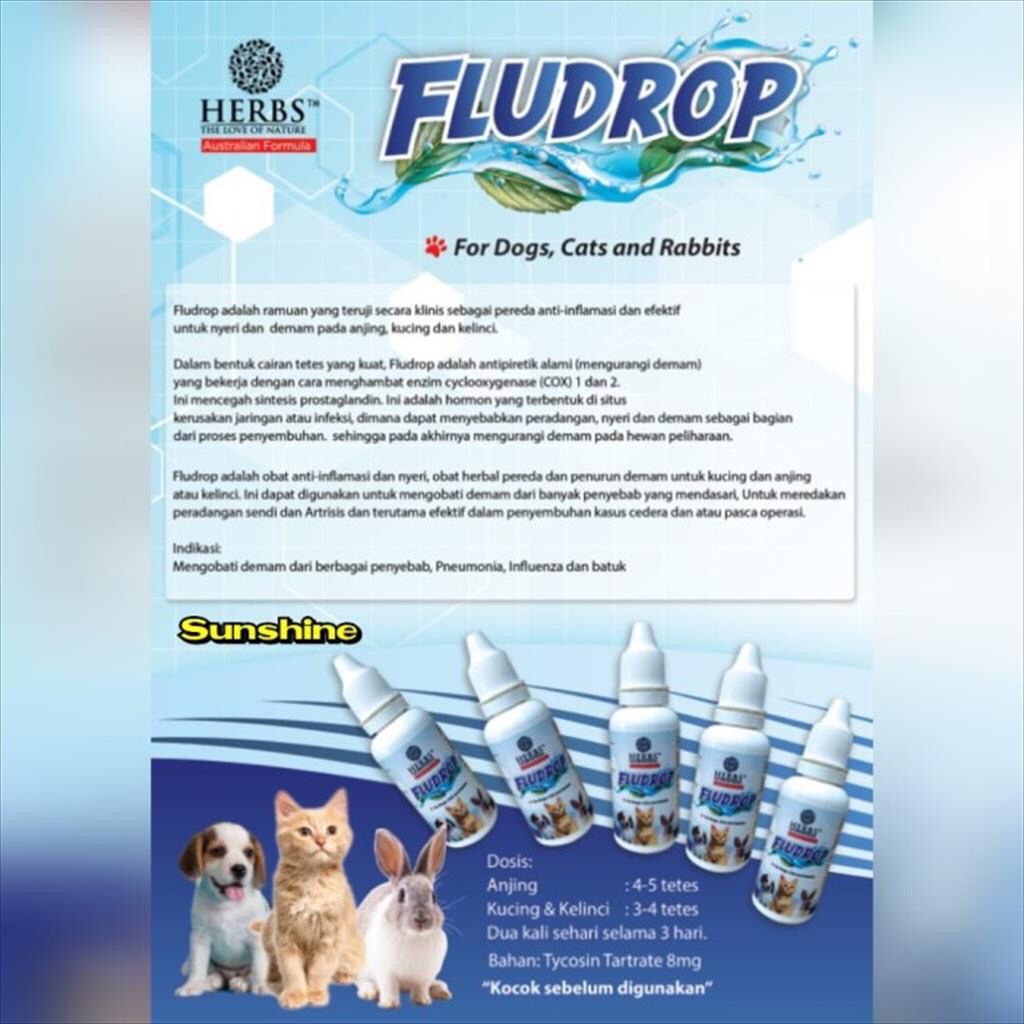 Jual Obat Flu Batuk Demam 30ml / Herbs Flu Drop Kucing Anjing Kelinci ...