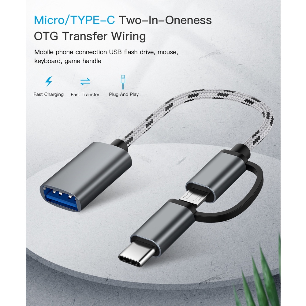 Jual OTG 2 IN 1 USB 3.0 Micro Type C Fast Transfer OTG Flash Disk Mouse ...