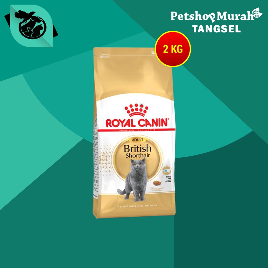 Royal canin british shorthair hot sale 20kg