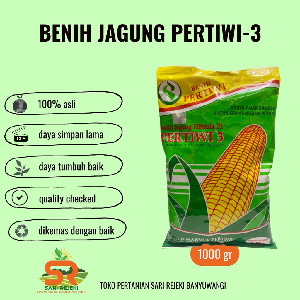 Jual BENIH JAGUNG HIBRIDA F1 PERTIWI-3 1KG | Shopee Indonesia