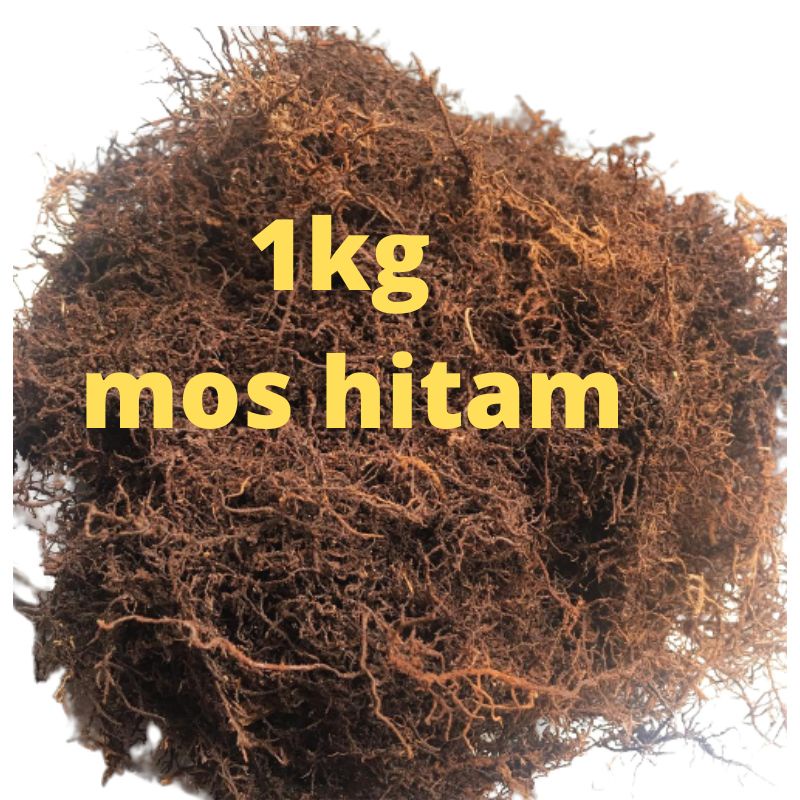 mos hitam asli media anggrek 1kg