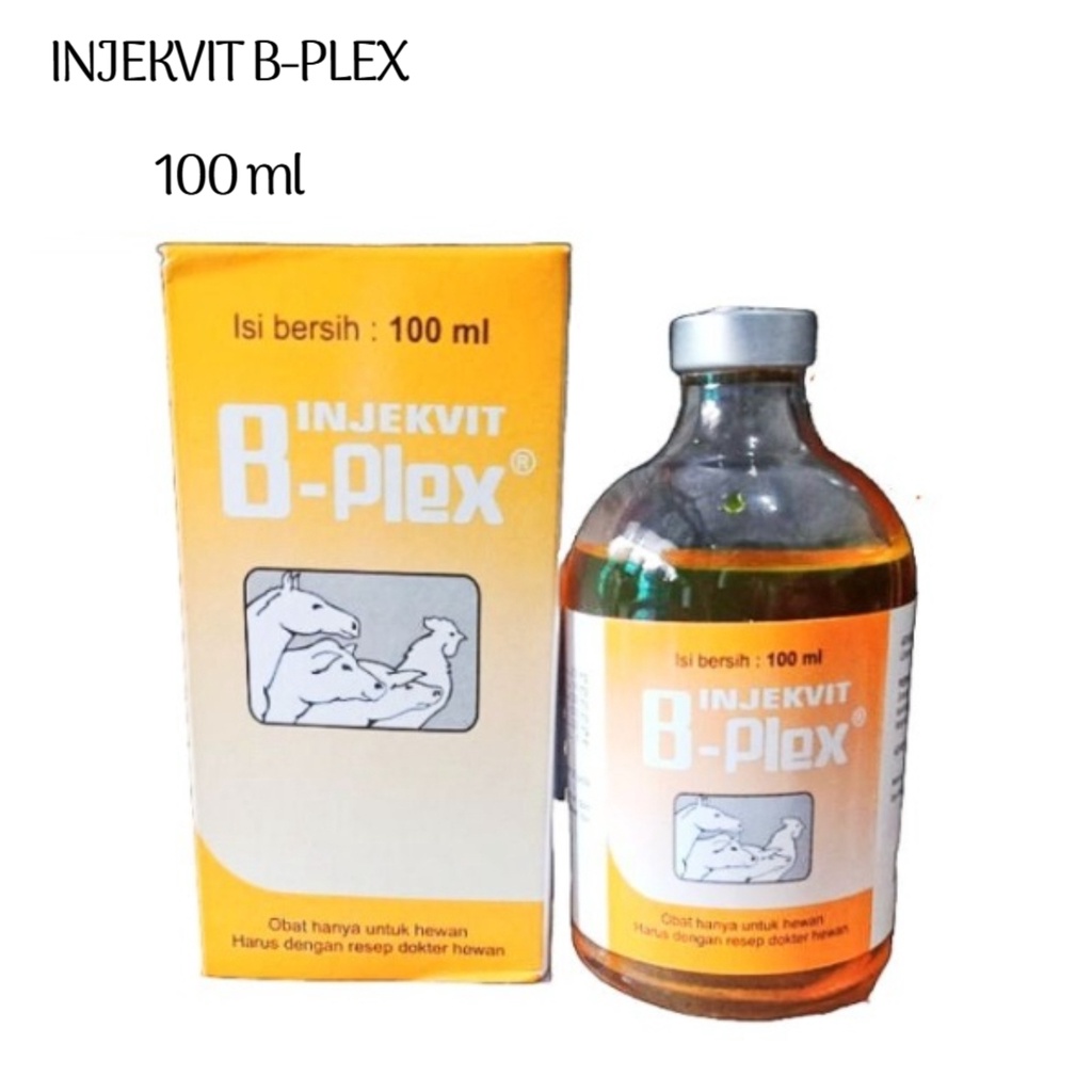 Jual Injeksi Vitamin B Kompleks 100 Ml Medion Ayam Kambing Sapi Obat ...