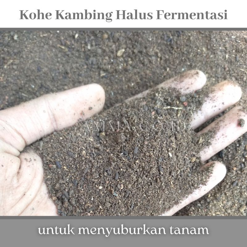 Jual Pupuk Kompos Organik Kohe Kambing Halus Fermentasi Campuran Media Tanam Untuk Menyuburkan