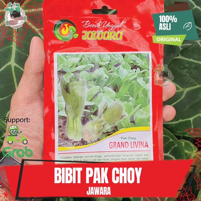 Jual Bibit Benih Biji Tanaman Sayuran Hidroponik Pak Choy Pakchoi Pakcoy Pokcay Bokchoi Green