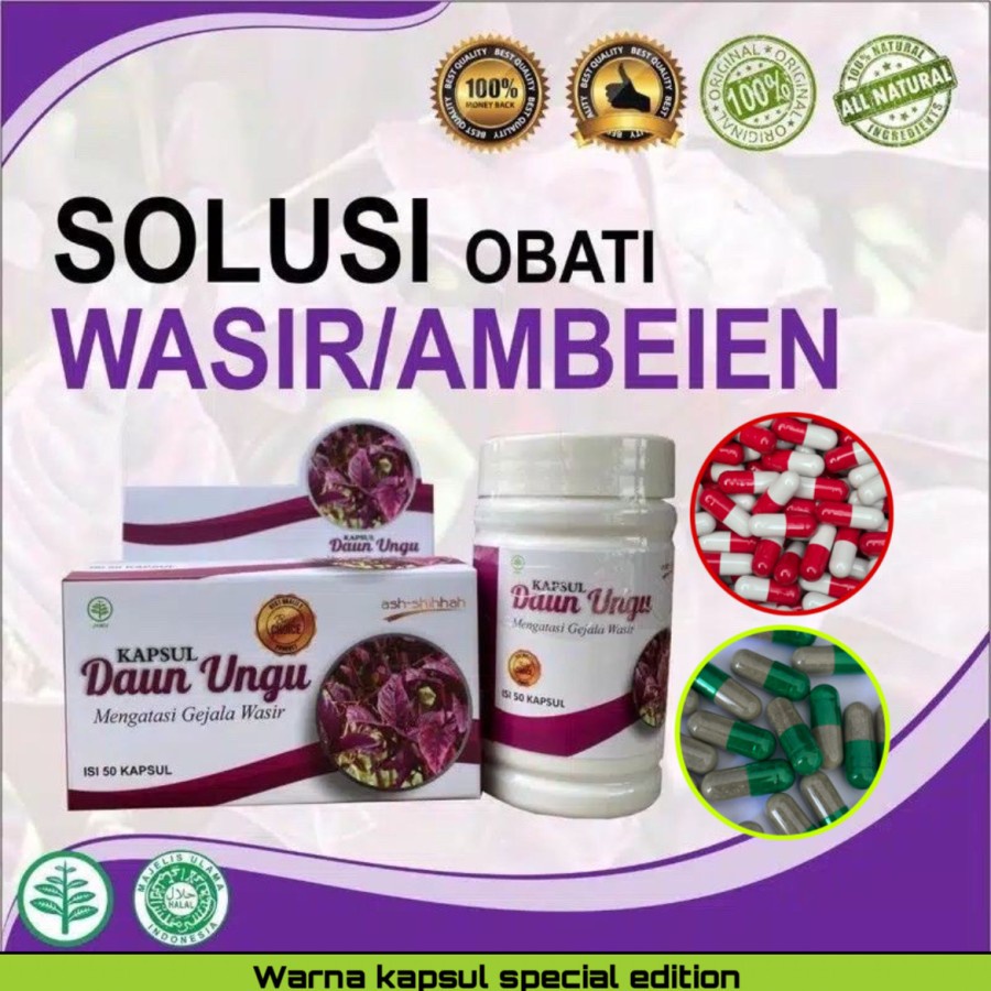 Jual Daun Ungu Obat Wasir Ambeyen Ambeien Ampuh Kapsul Isi 50 Kapsul