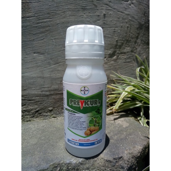 Jual Fungisida PREVICUR N 722 SL 100 ML | Shopee Indonesia