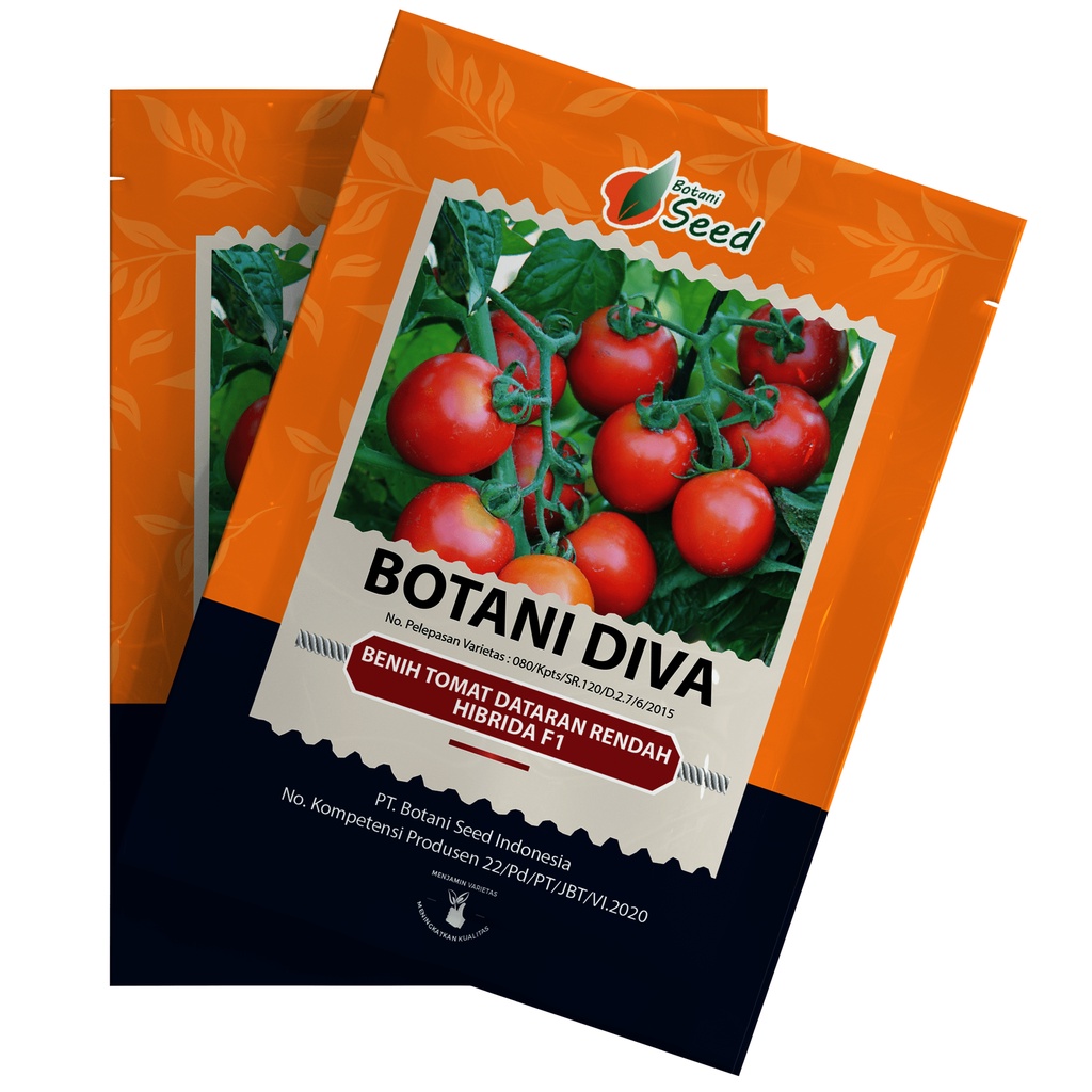 Jual BENIH TOMAT BOTANI DIVA RED F1 (0,2 Gram) URBAN FARMING (kemasan ...