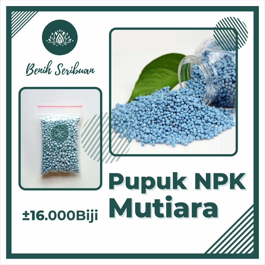 Jual Pupuk Npk Mutiara 161616 Nutrisi Pertumbuhan Benih Tanaman Sayuran And Bibit Buah Repack 30 7712