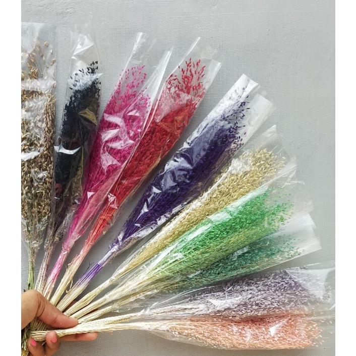 Jual ( Termurah ) sprinkle 30 tangkai / bunga sprinkle / dried ...