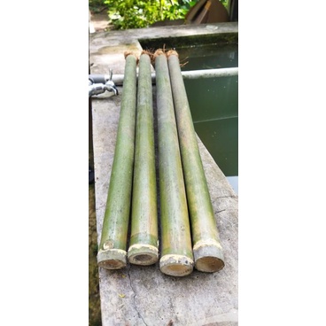 Jual Jual obor bambu panjang 50 cm + sumbu | Shopee Indonesia