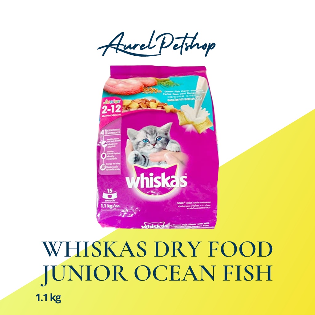 Jual WHISKAS JUNIOR OCEAN FISH + Milk 1,1kg Shopee Indonesia