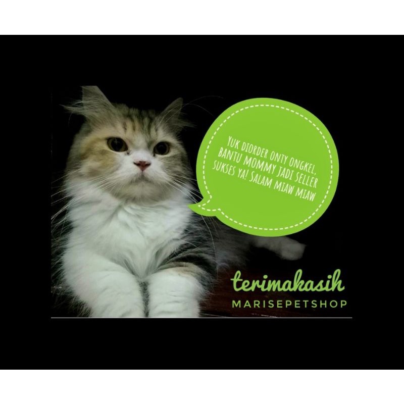 Jual Marshmallow sugar glider rasa susu - snack sugar glider milk 60ml ...