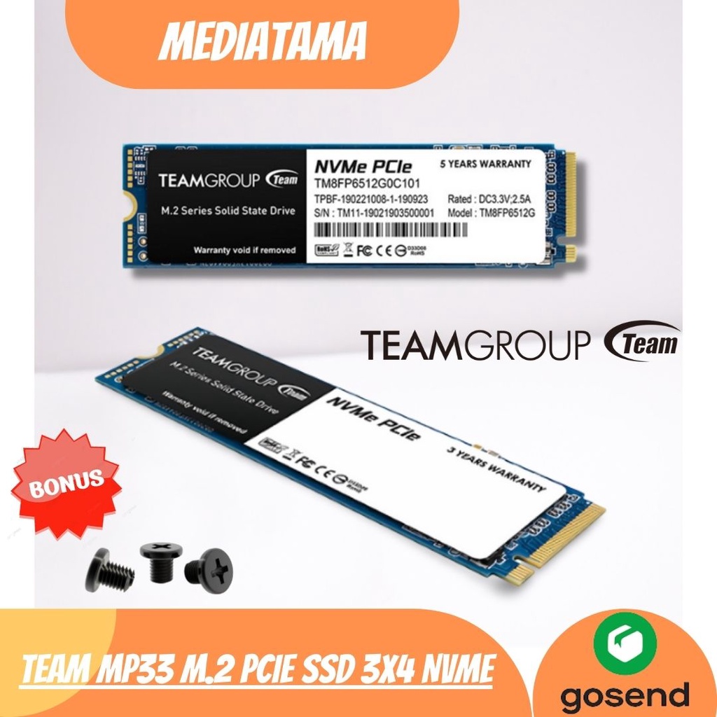 Jual team mp33 ssd team group internal nvme pcie 3 0 x 4 nvme 1 3 256gb