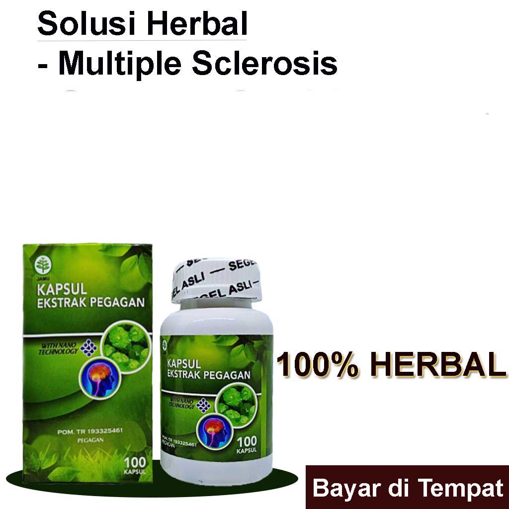 Jual Kapsul Ekstrak Pegagan Obat Multiple Sclerosis Atau Penyakit Sklerosis Ganda Herbal Alami