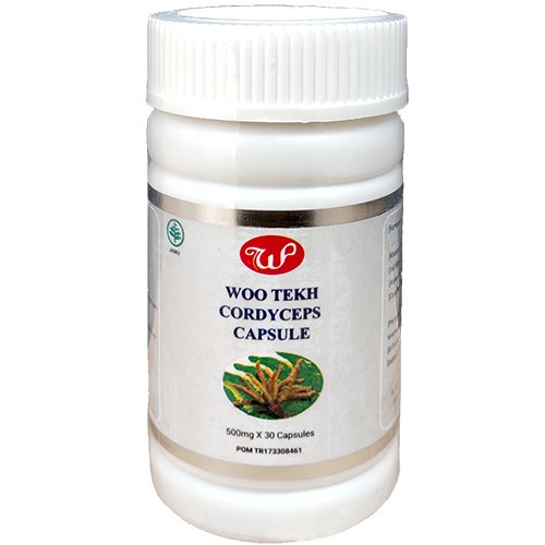 Cordyceps Capsule Woo Tekh Obat Paru, ginjal, asma, batuk, hipertensi