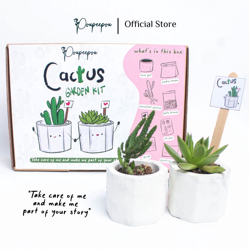 my succulent garden 様専用 July 25th, English translation of