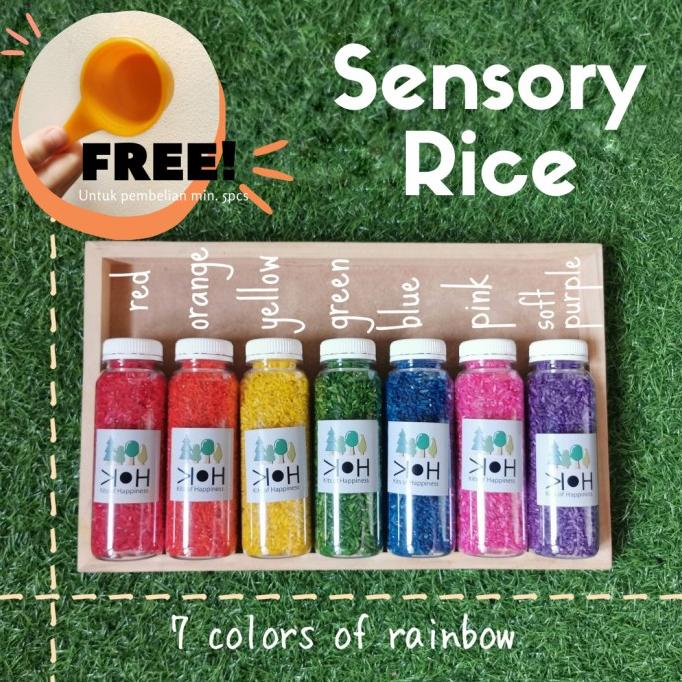 Jual 200 gram sensory rice rainbow rice / montessori sensory play ...