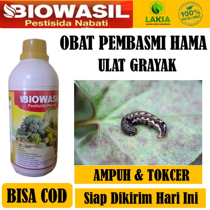 Jual Insektisida Biowasil 500 Ml Pestisida Nabati Pembasmi Hama Ulat Grayak Jagung Cabe Labu 4592