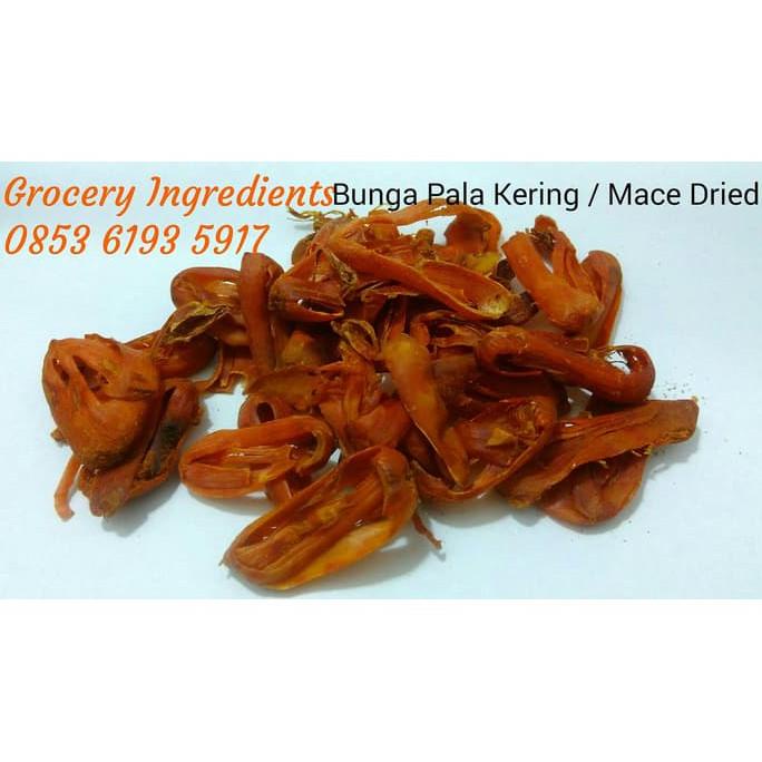 Jual PRODUK- BUNGA PALA KERING 100GRAM / MACE DRIED WHOLE / KEMBANG ...