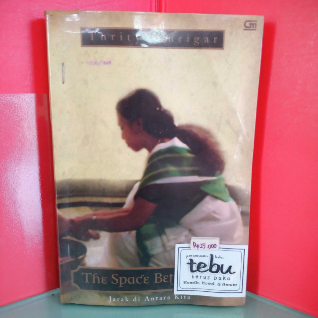 Jual novel THE SPACE BETWEEN US (jarak …