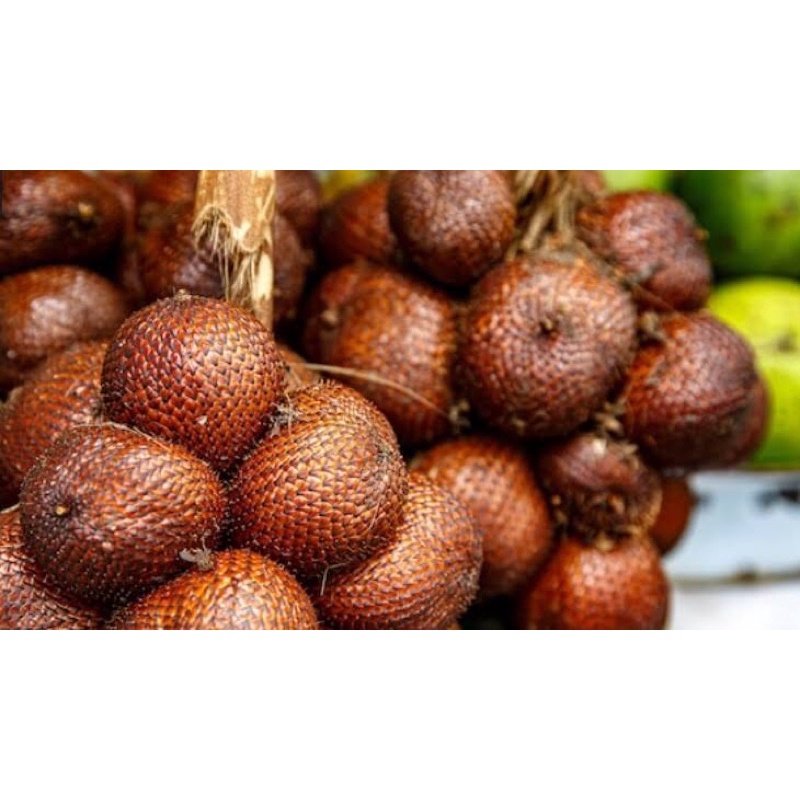 Jual Salak Pondoh Manis 1kg Shopee Indonesia