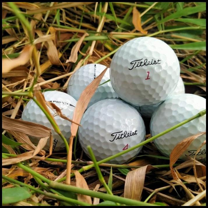 Jual Bola Golf Titleist Pro V1/Pro V1X(Grade A) | Shopee Indonesia