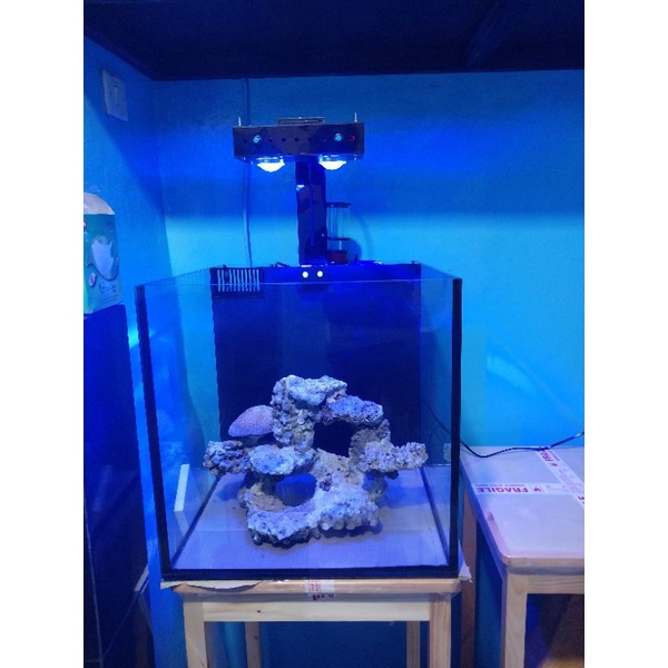 Jual Aquarium Laut Sump belakang 45cm 8mm Full Sett bukan lampu spectra