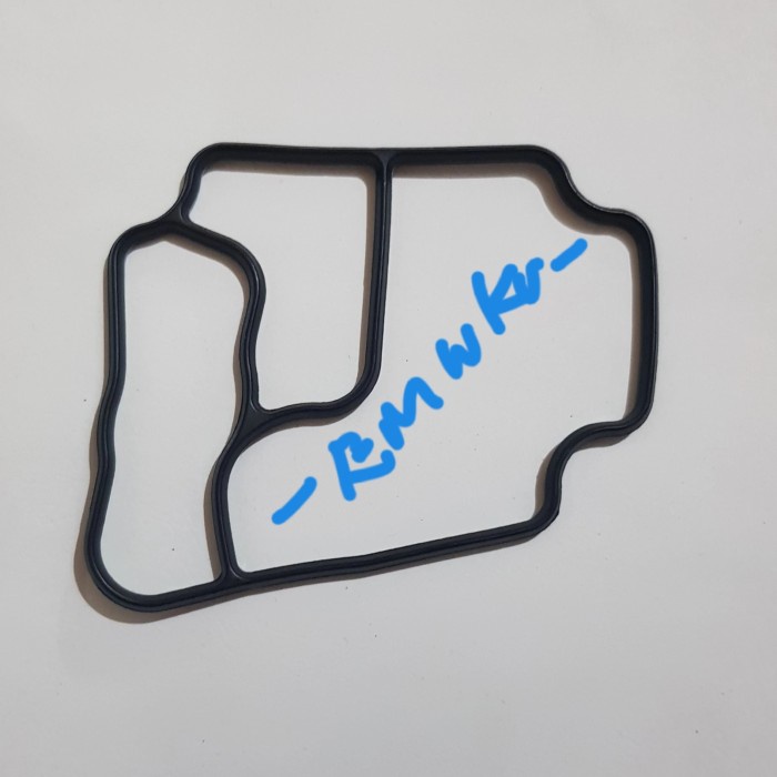 Jual SEAL HOUSING FILTER OLI BMW M50 M52 M54 11421719855 Shopee Indonesia