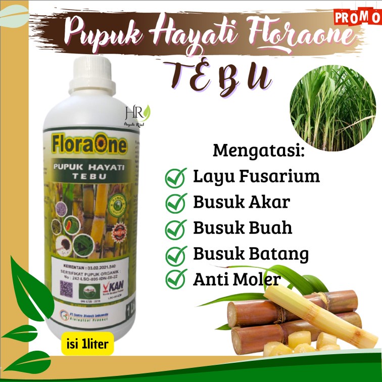 Jual Pupuk Tebu Terbaik Pupuk Hayati Tebu Hijau Nutrisi Pohon Tebu