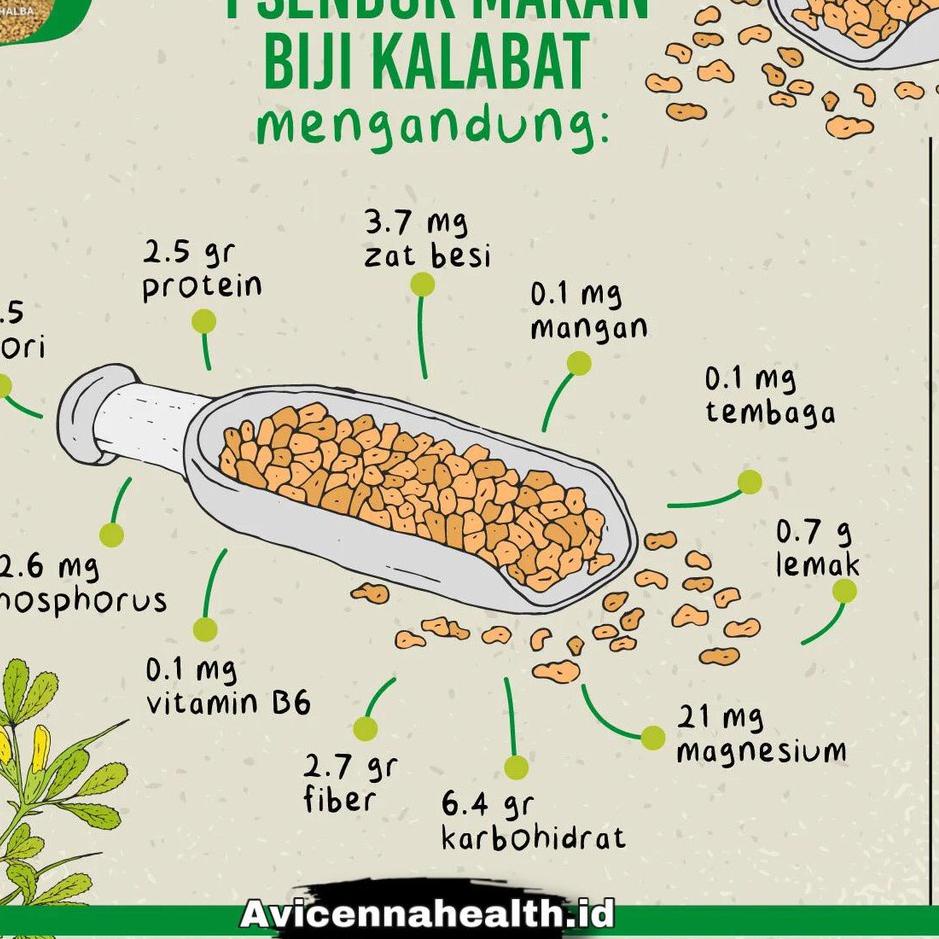 Jual Kodet F E Biji Halba Avicennahealt Gr Asli Fenugreek Seed