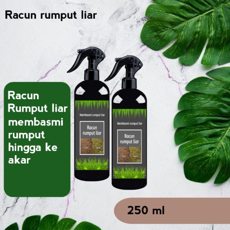 Jual Racun Rumput Paling Ampuh Pembasmi Rumput Liar Dan Gulma Shopee