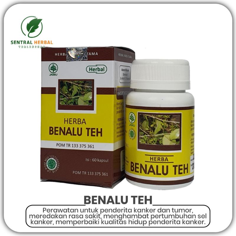 Jual Benalu Teh Herbal Indo Utama Untuk Kanker Dan Tumor Isi 60 Kapsul