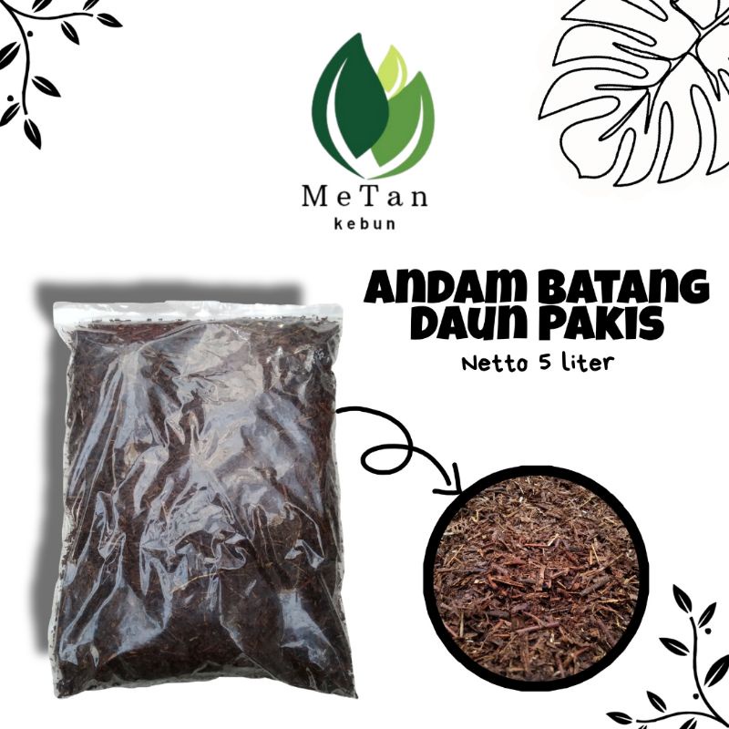 Jual Andam Humus Batang Daun Pakis Cacah Alami Media Tanam Kemasan 5 ...