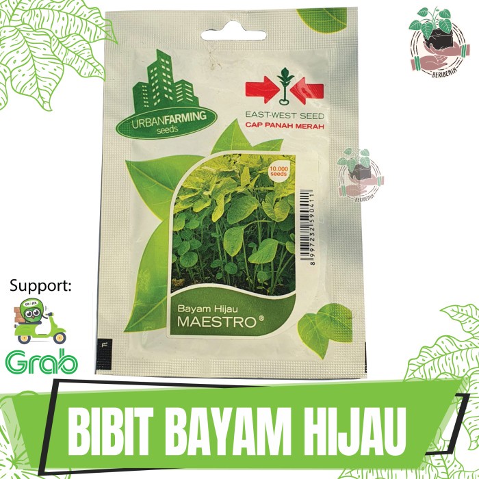 Jual Benih Bibit Tanaman Bayam Hijau Maestro Cap Panah Merah Hidroponik ...