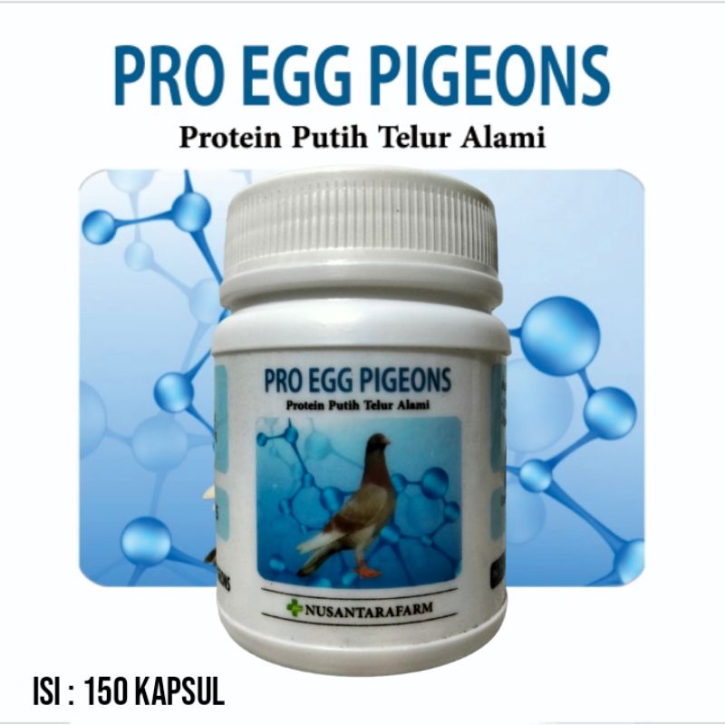 Jual pro egg pigeons 150 kapsul protein vitamin otot merpati Shopee