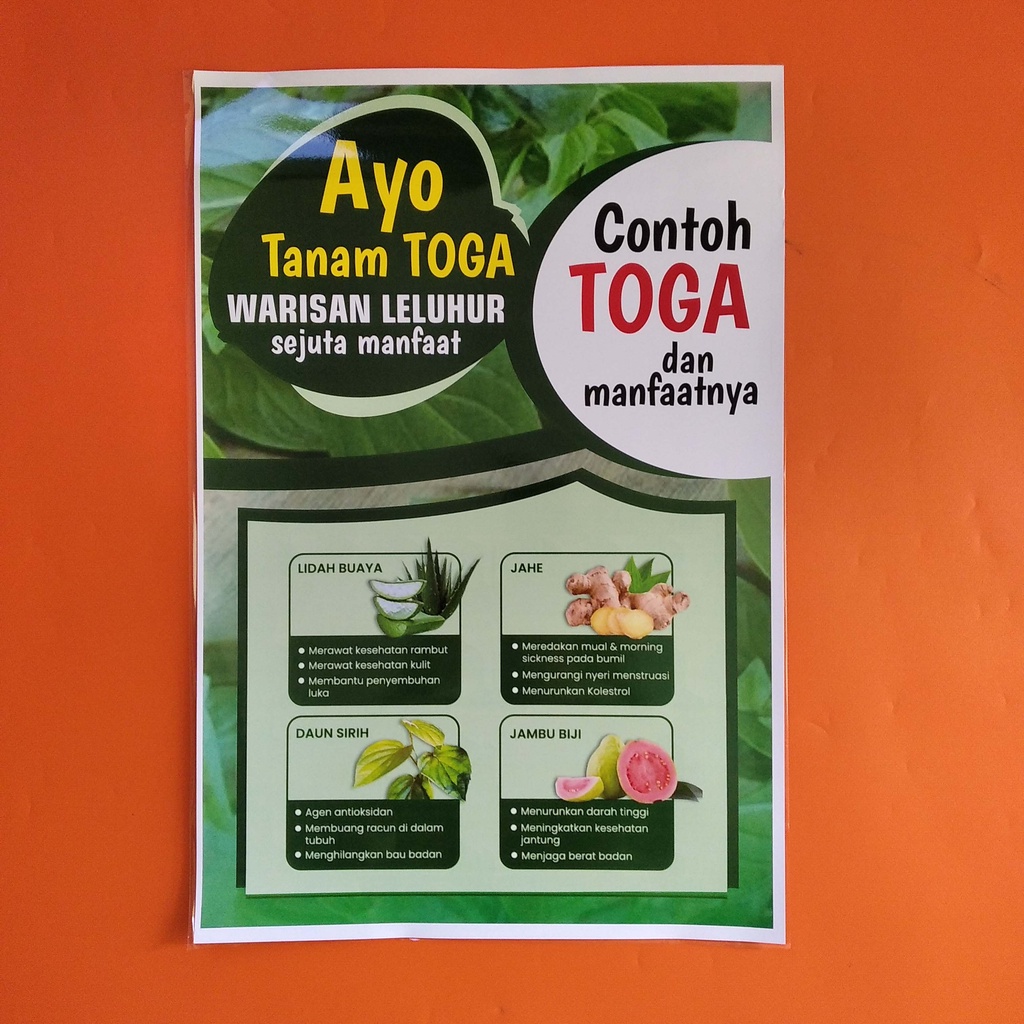 Jual Poster Kesehatan Poster Toga Poster Tanaman Obat Keluarga