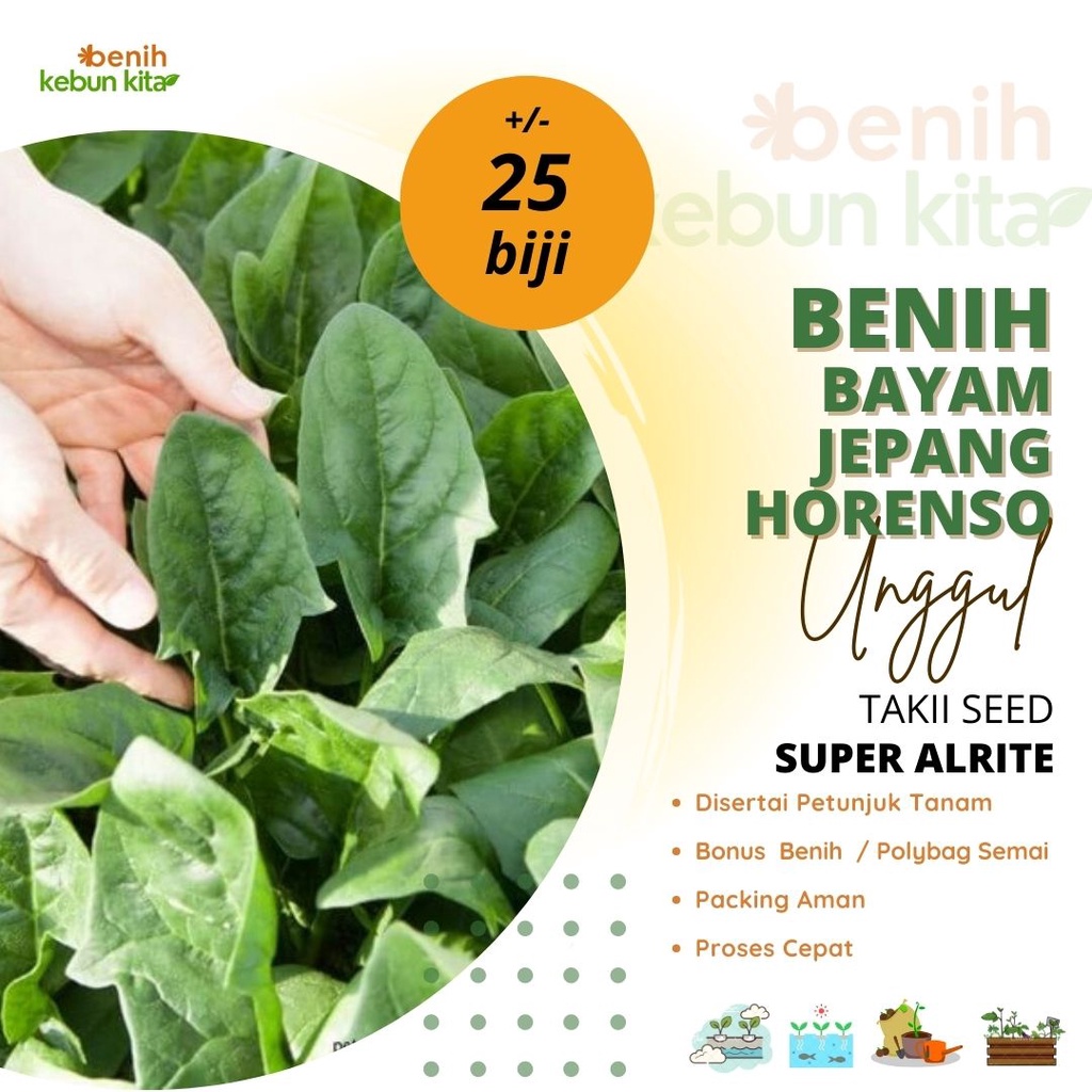 Jual Biji Benih Bibit Tanaman Sayuran Bayam Jepang Repack Super Altire