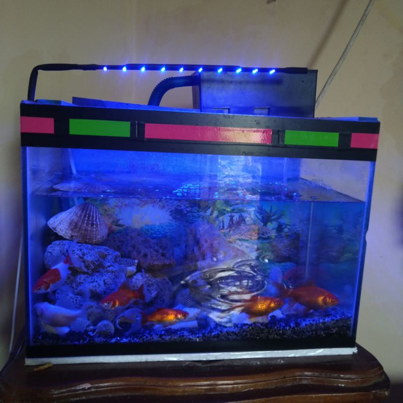 Jual Lampu aquarium aquascape Warna Biru Lampu Akuarium Led | Shopee
