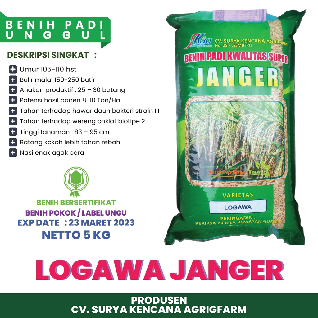 Jual Benih Padi Logawa Janger Jumbo 5kg Benih Unggul Bersertifikat