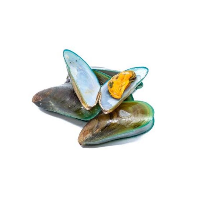 Jual kerang ijo/kerang hijau 250 gram | Shopee Indonesia