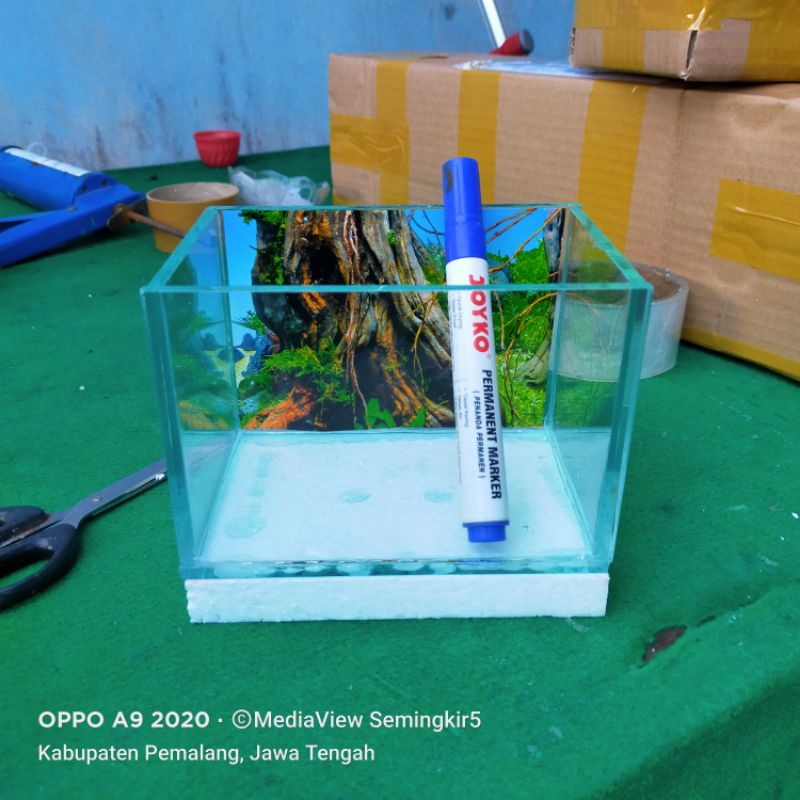 Jual Aquarium Kaca Mini Akuarium Mini Cupang Neon 15x10x10cm Background ...