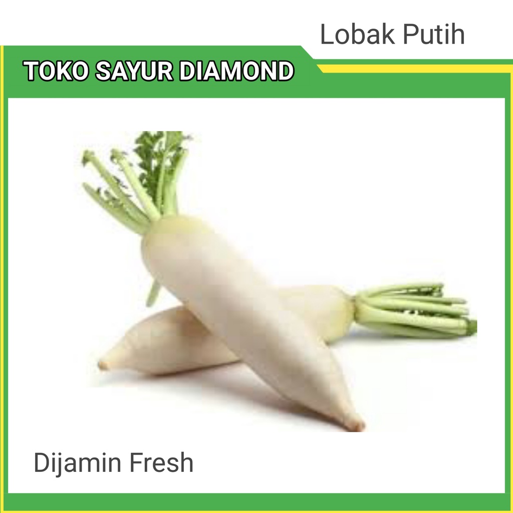 Jual Lobak Putih Fresh - Diamond Palembang | Shopee Indonesia