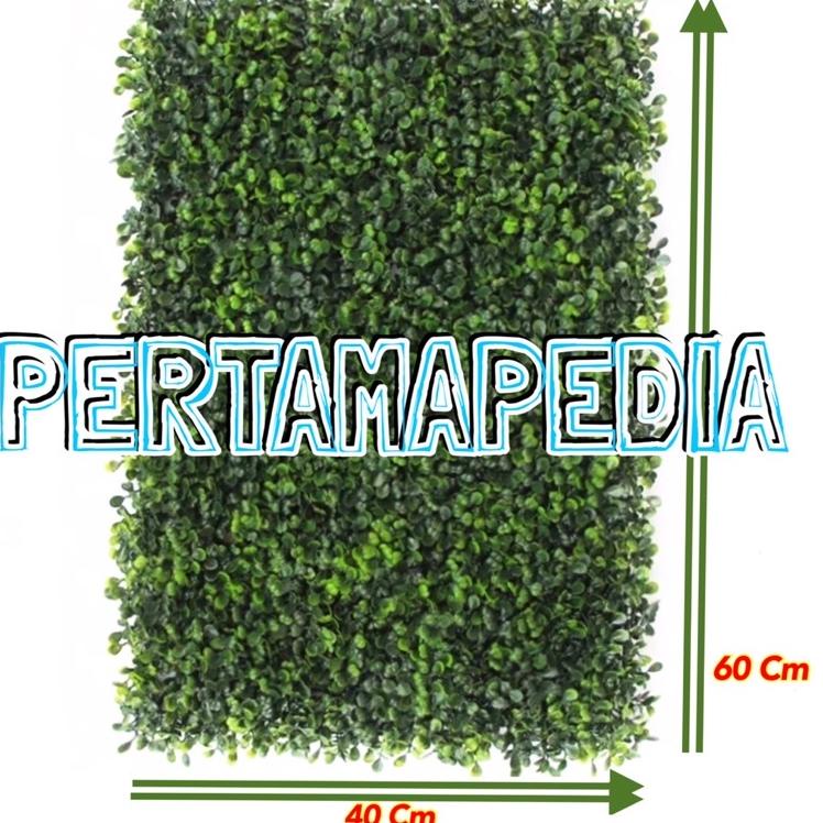 Jual Berkualitas--RUMPUT FINDLOVE / RUMPUT DOLAR/ RUMPUT DOLLAR ...