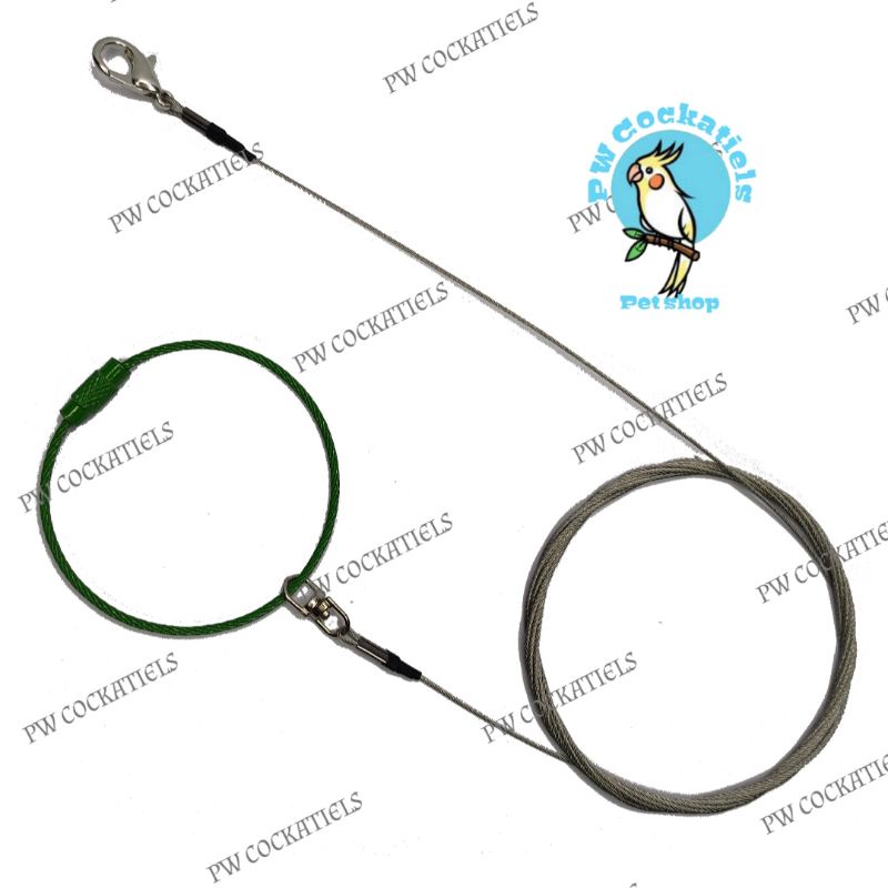 Jual Rope Wire Baja Tali Training Tuntun Burung Small Parrot Lovebird ...