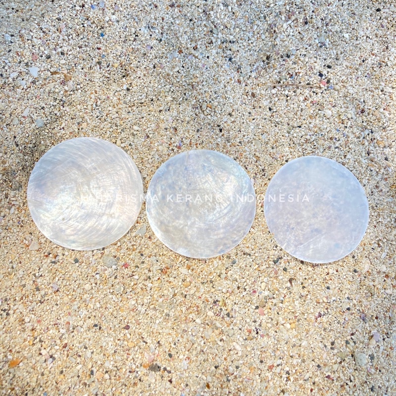 Jual Capiz Shell Round Shape 7cm Cangkang Kerang Capiz Capiz Shell ...