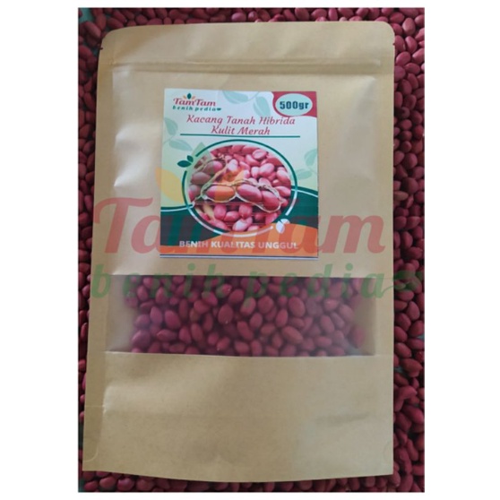 Jual Benih Kacang Tanah Jumbo Super Hibrida Kulit Merah Isi 500 Gram