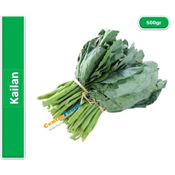 Jual Kailan Segar - Sayur Kaylan Gai Lan Lokal Fresh | 500gr [ Harga ...