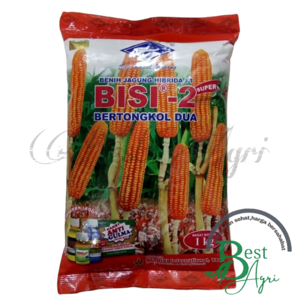 Jual Benih Jagung Hibrida F1 Super Bisi 2 - Kemasan 1 Kg Cap Kapal ...