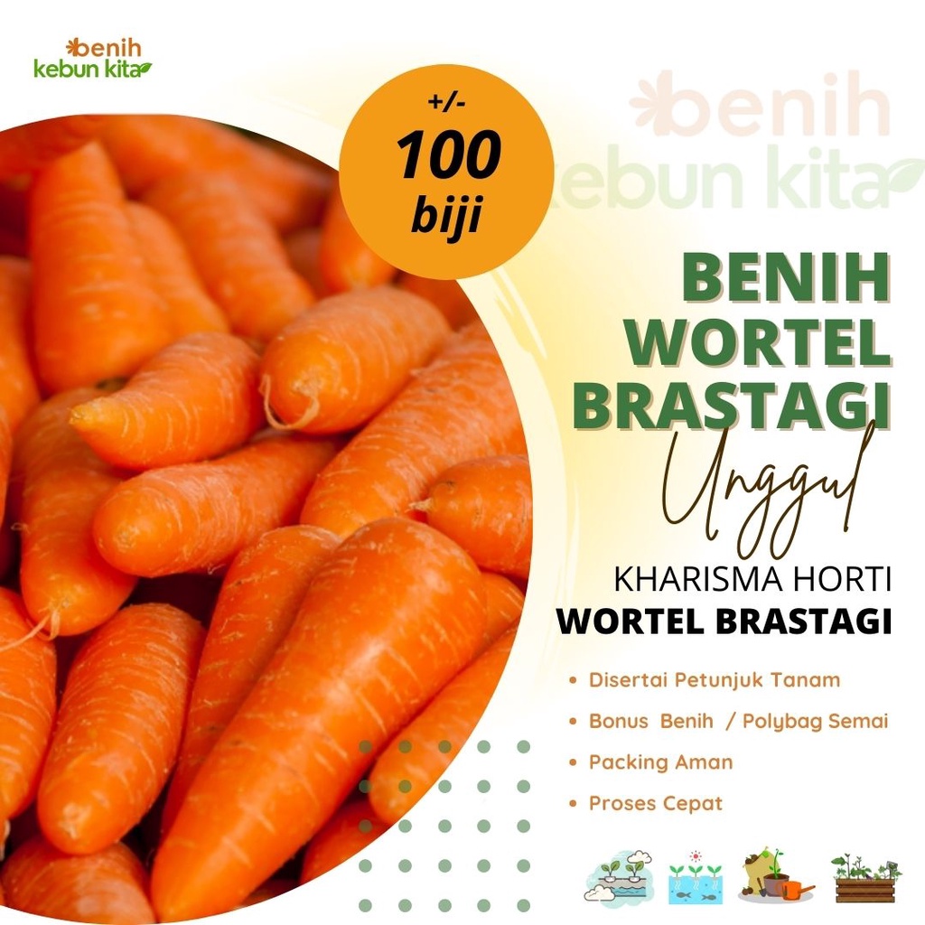 Jual Benih Sayuran Wortel Berastagi Bibit Tanaman Sayur Wortel Brastagi